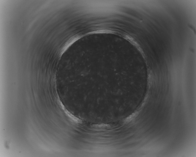 X0000100221425200806061334