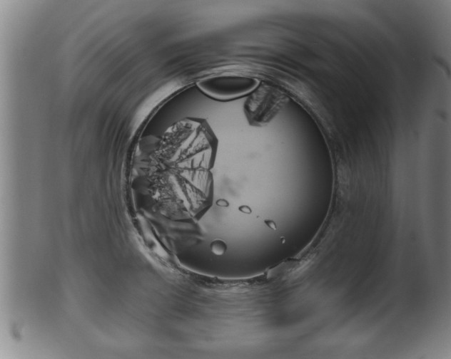 X0000100221426200806061334