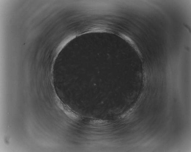 X0000100221427200806061334