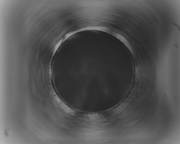 X0000100221428200806061334