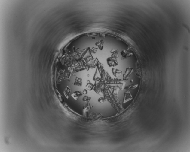 X0000100221430200806061334