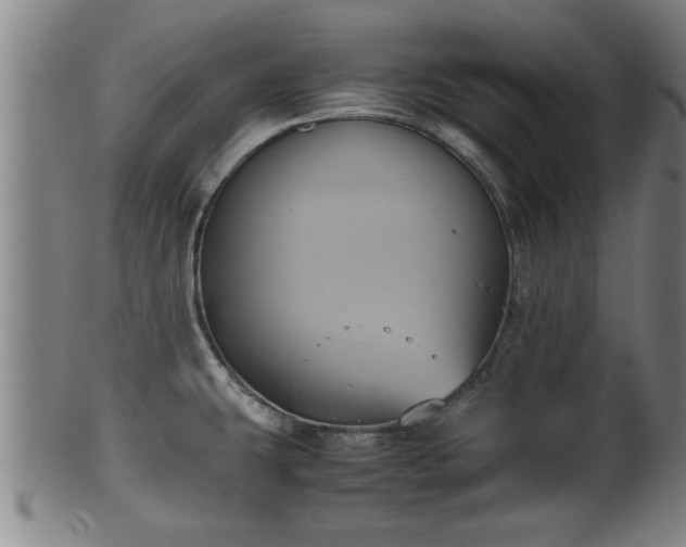 X0000100221431200806061334