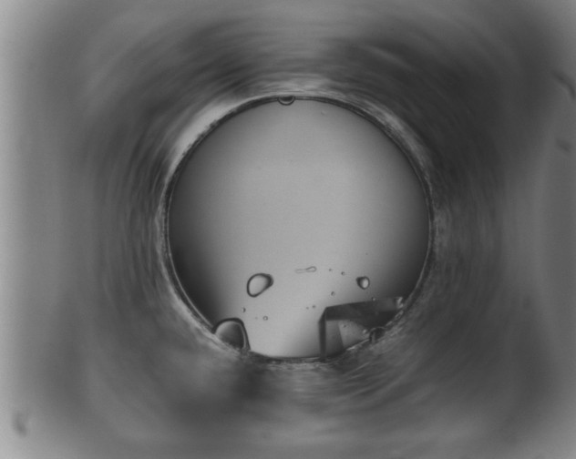 X0000100221432200806061334