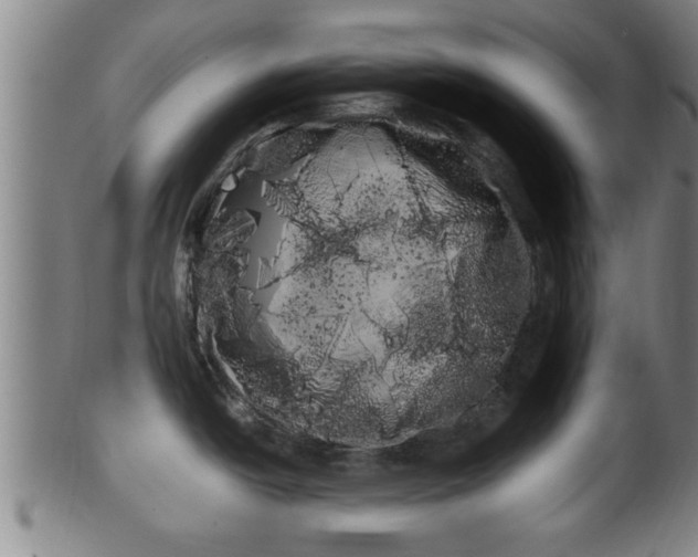 X0000100221438200806061334
