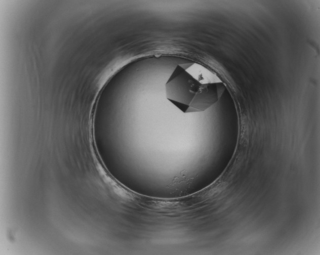 X0000100221439200806061334