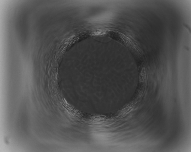 X0000100221441200806061333