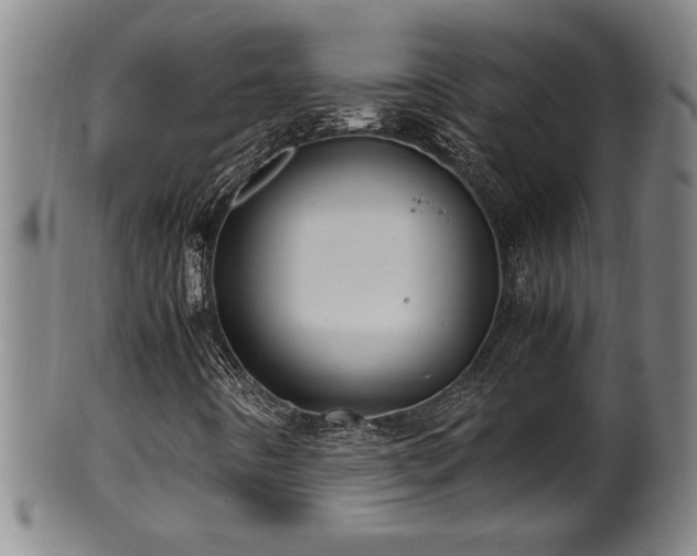 X0000100221442200806061333