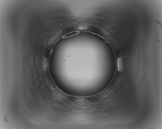 X0000100221443200806061333