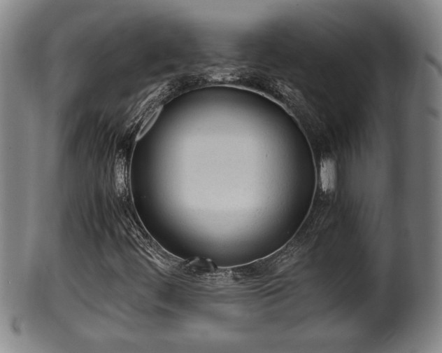 X0000100221444200806061333