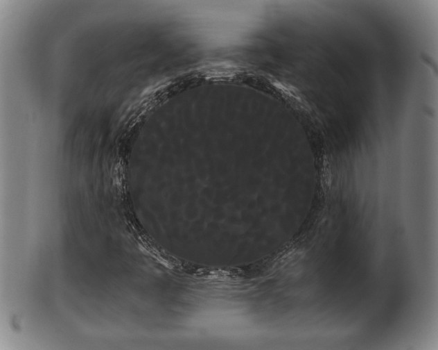 X0000100221445200806061333