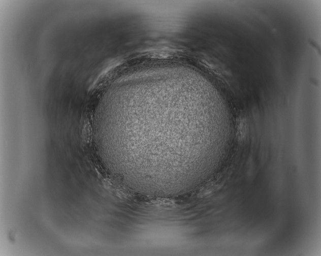 X0000100221446200806061333