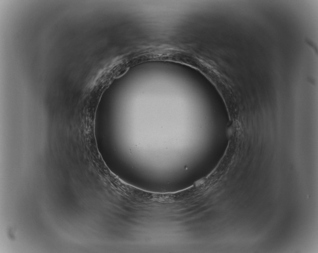 X0000100221447200806061333