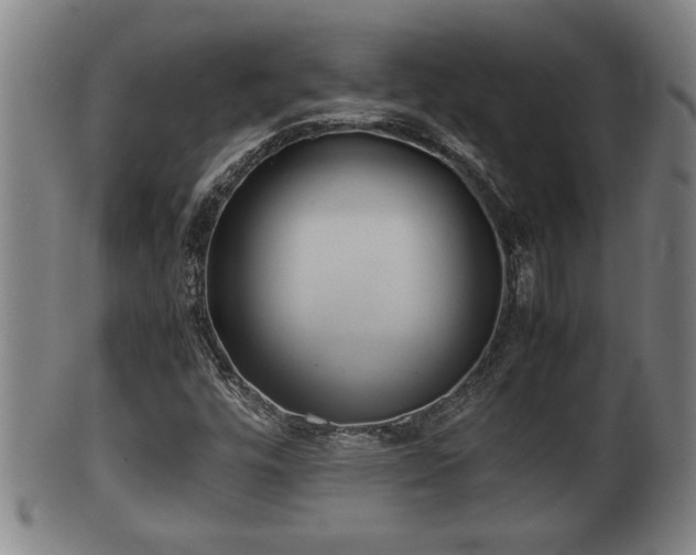 X0000100221448200806061333