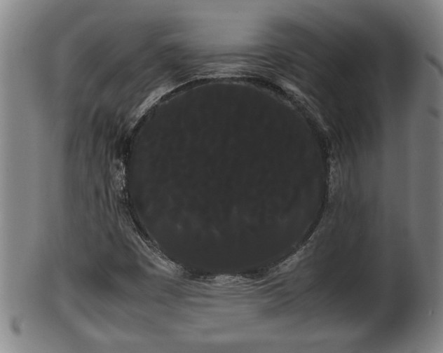 X0000100221449200806061333