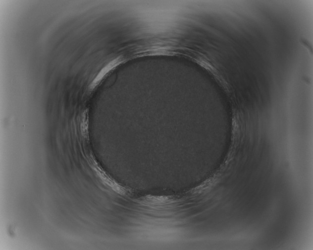 X0000100221450200806061333