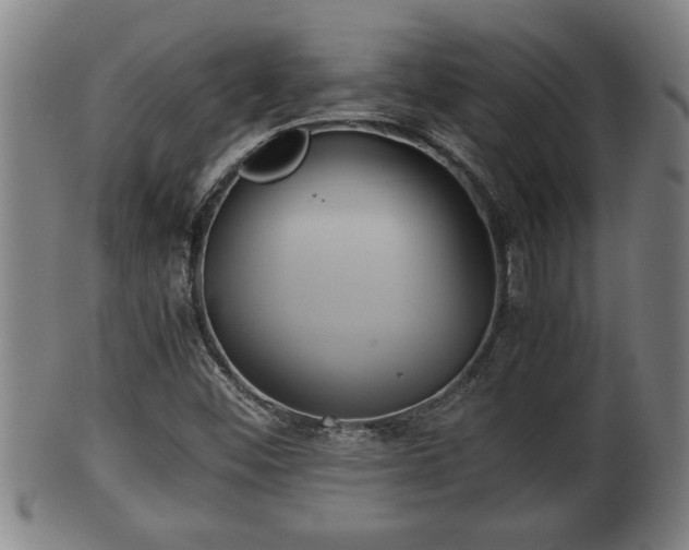 X0000100221452200806061333