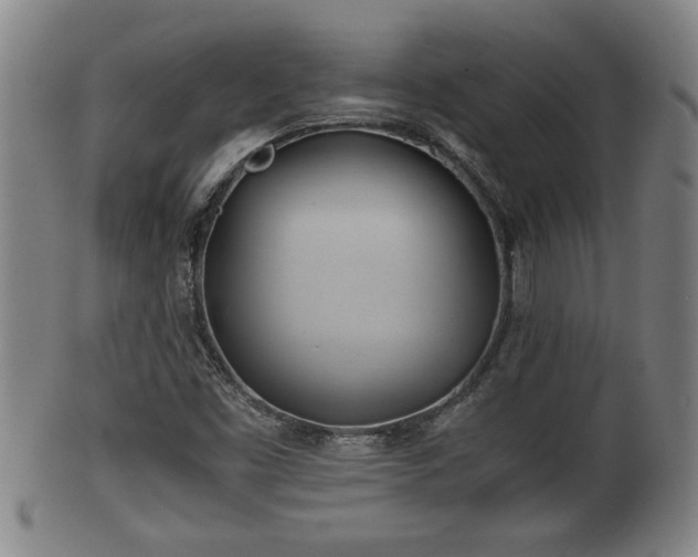 X0000100221453200806061333