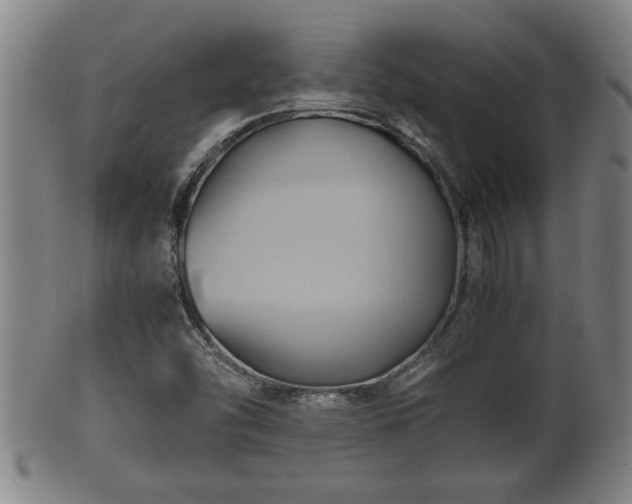 X0000100221454200806061333