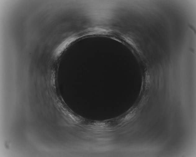 X0000100221455200806061333