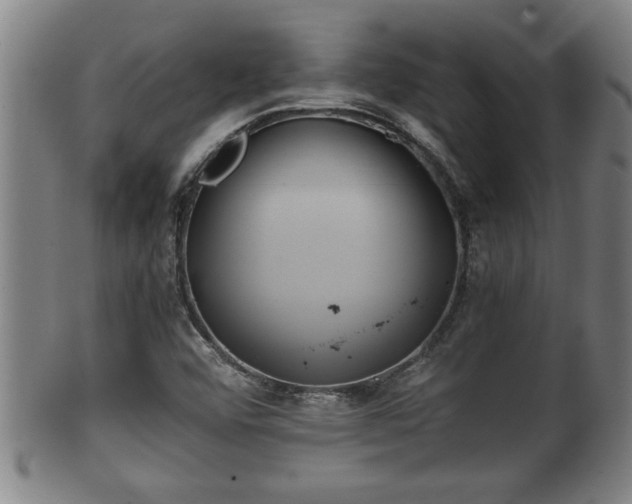 X0000100221456200806061333