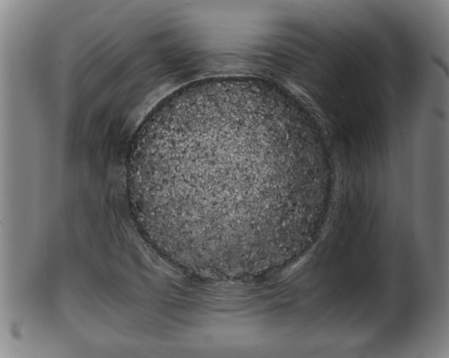 X0000100221457200806061333