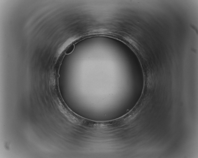 X0000100221458200806061333