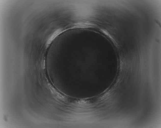 X0000100221459200806061333