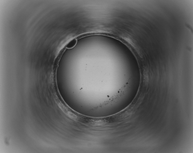 X0000100221460200806061333