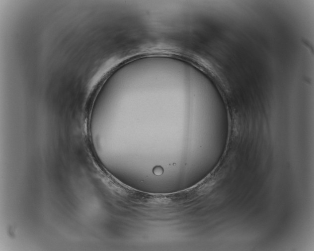 X0000100221462200806061333