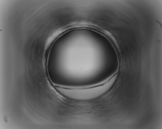 X0000100221464200806061333