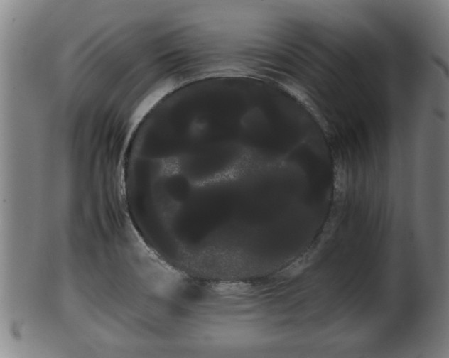 X0000100221466200806061333