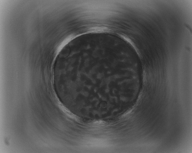 X0000100221467200806061333