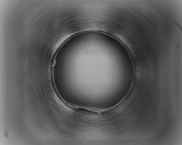 X0000100221468200806061333