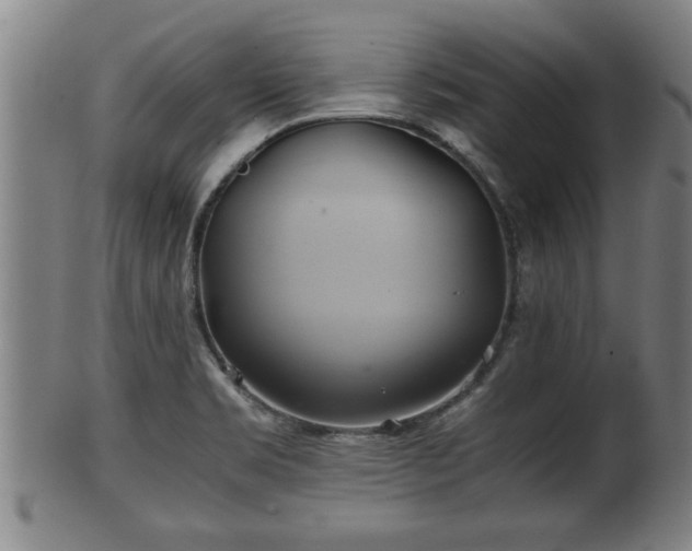 X0000100221469200806061333