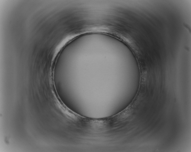 X0000100221470200806061333