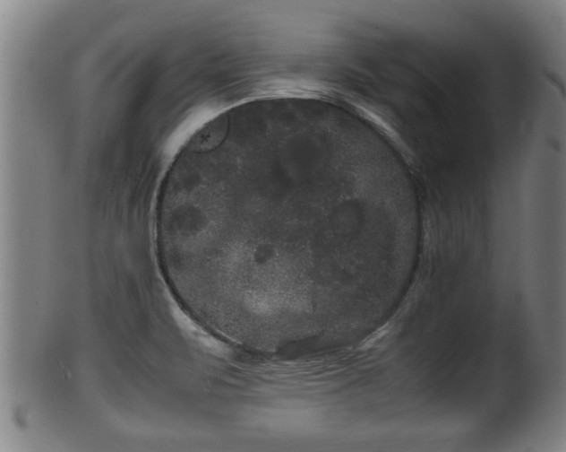 X0000100221471200806061333