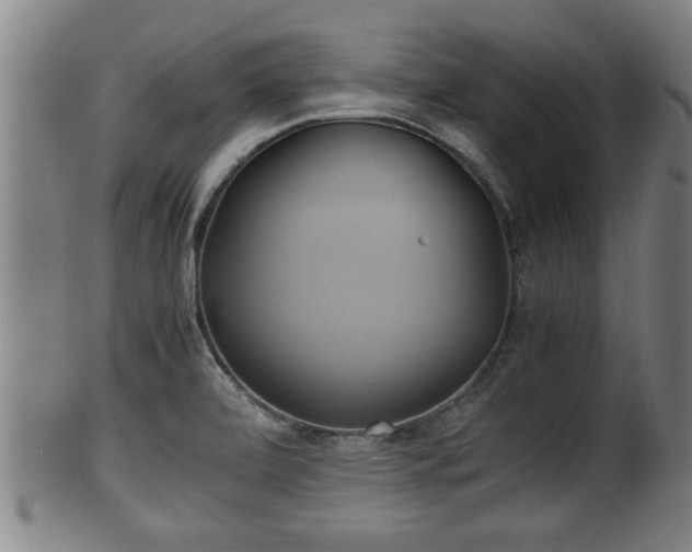 X0000100221472200806061333