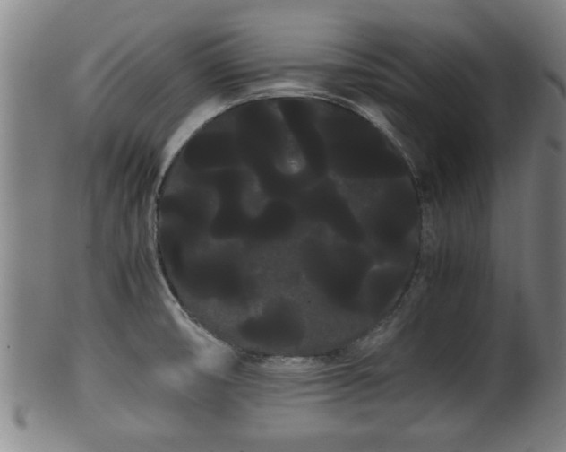 X0000100221474200806061333