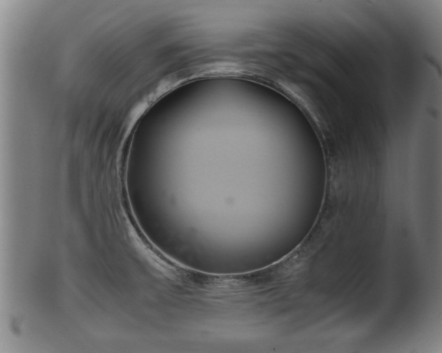 X0000100221475200806061333