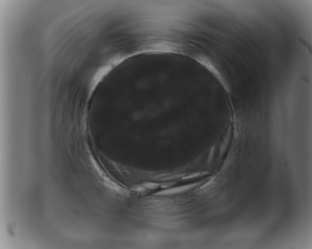 X0000100221477200806061333