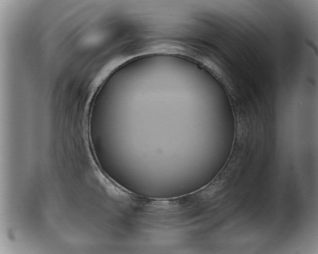 X0000100221478200806061332