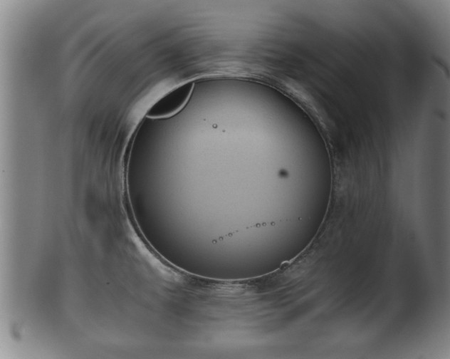 X0000100221479200806061332