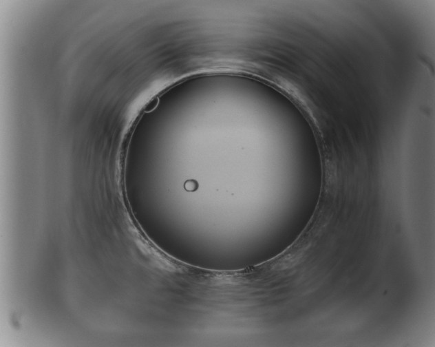 X0000100221480200806061332