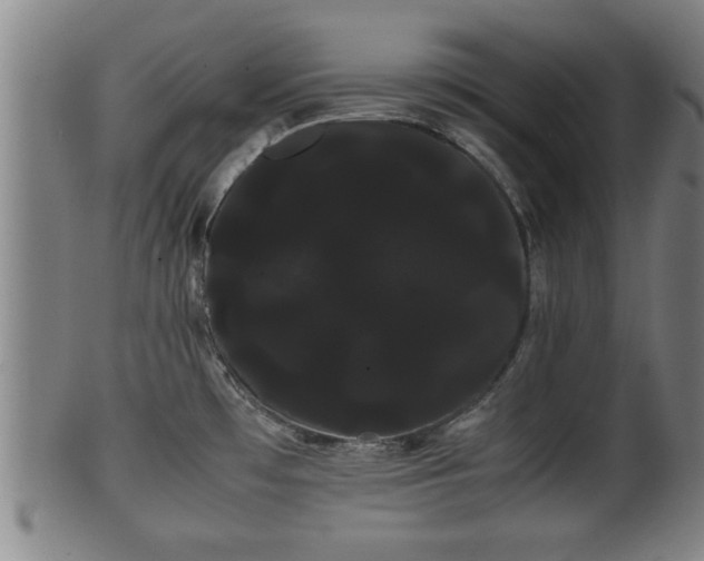 X0000100221481200806061332