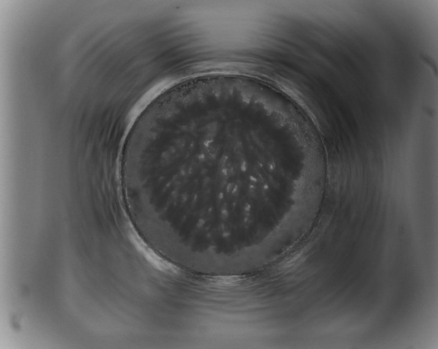 X0000100221482200806061332