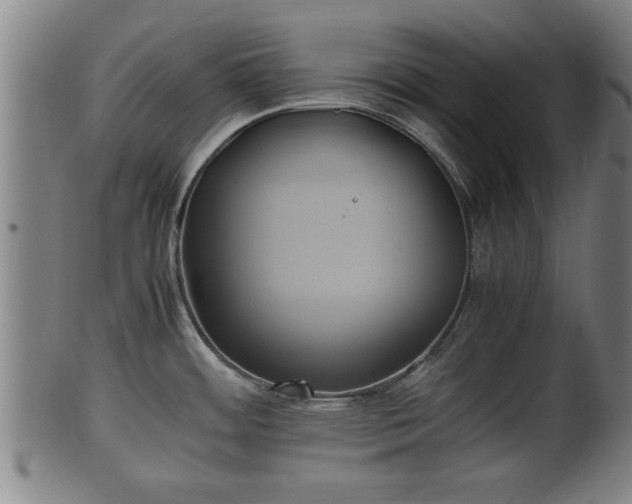 X0000100221484200806061332