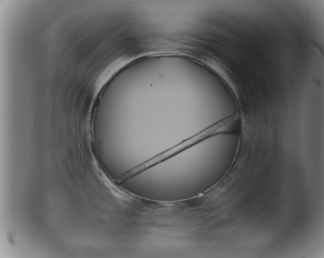 X0000100221485200806061332