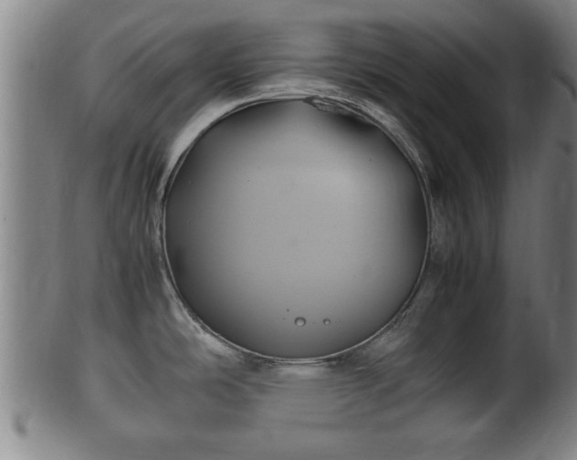 X0000100221486200806061332