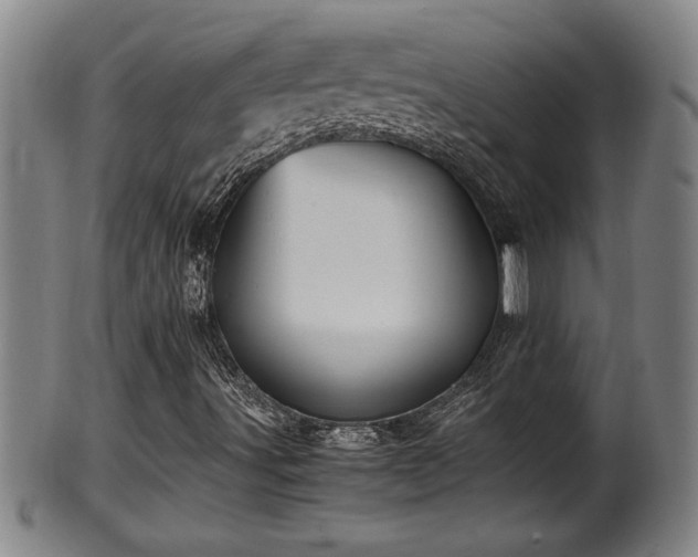 X0000100221491200806061332