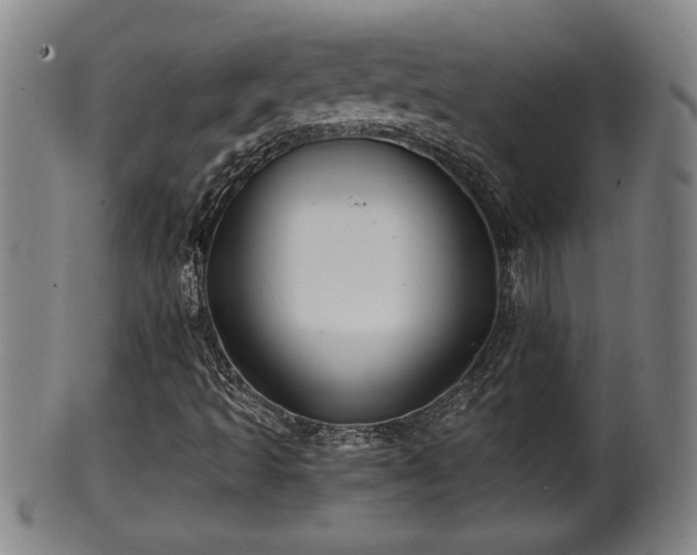 X0000100221493200806061332